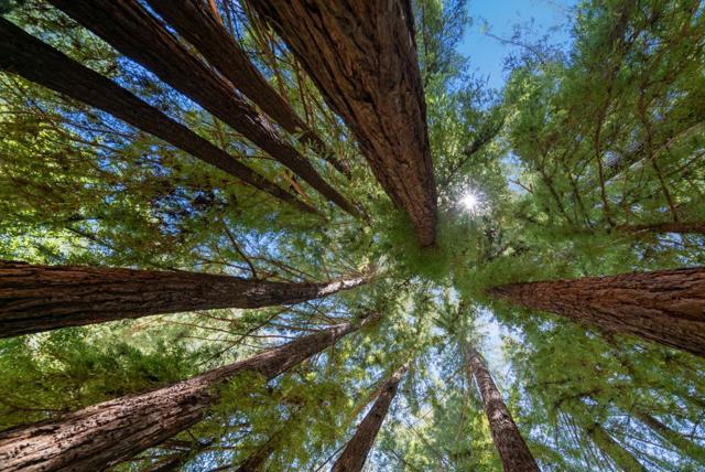 100 N Rodeo Gulch Road, Soquel CA: https://media.crmls.org/mediaz/193ad3b9-82f9-45be-bc05-1e322cf0501c.jpg