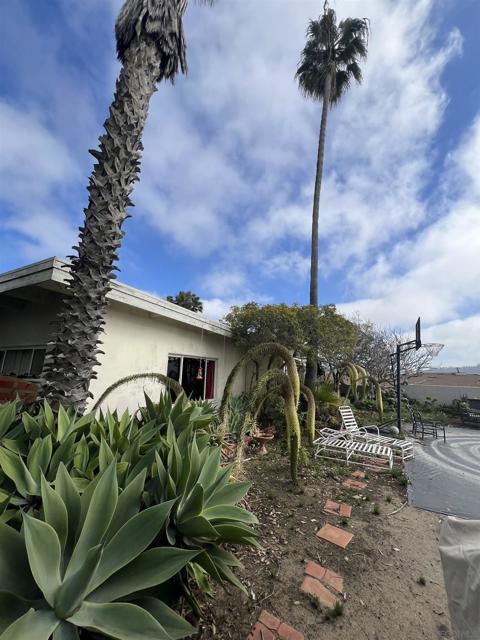 686 Via De La Valle, Solana Beach, California 92075, 3 Bedrooms Bedrooms, ,2 BathroomsBathrooms,Single Family Residence,For Sale,Via De La Valle,250018891SD