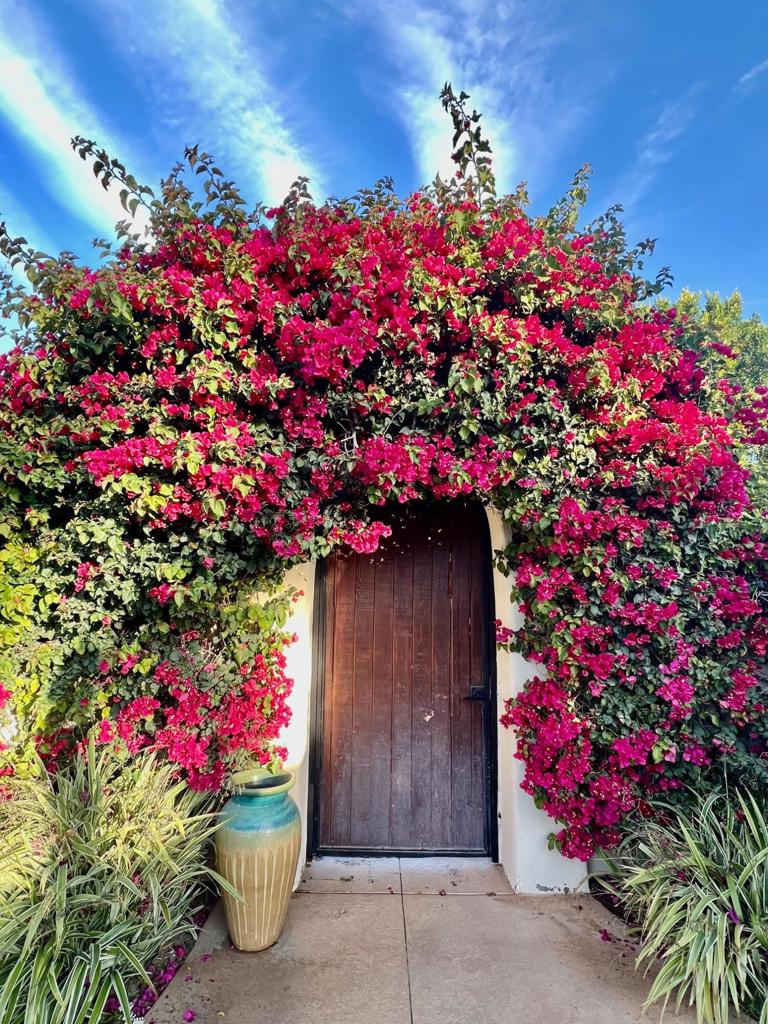 https://media.crmls.org/mediaz/1949ab86-538e-40f7-8847-b1059407016b.jpg?preset=X-Large