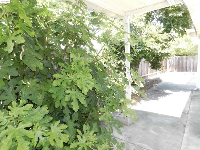 3411 Del Monte Way, San Leandro CA: https://media.crmls.org/mediaz/19549e2b-979d-4dce-aa8f-48c0ce2191ee.jpg