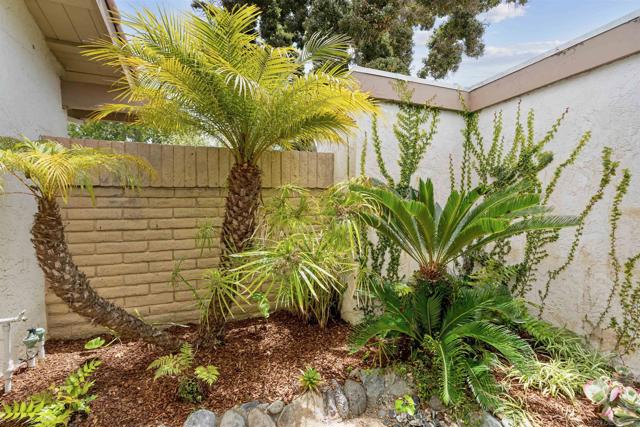 1608 Caminito Asterisco, La Jolla CA: https://media.crmls.org/mediaz/195a5e43-4094-4023-ab8b-ac82aaf6e4bf.jpg