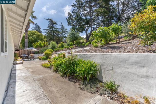 3215 Camino Colorados, Lafayette CA: https://media.crmls.org/mediaz/1960eea3-0f06-4de3-8f99-98b957f12e9d.jpg