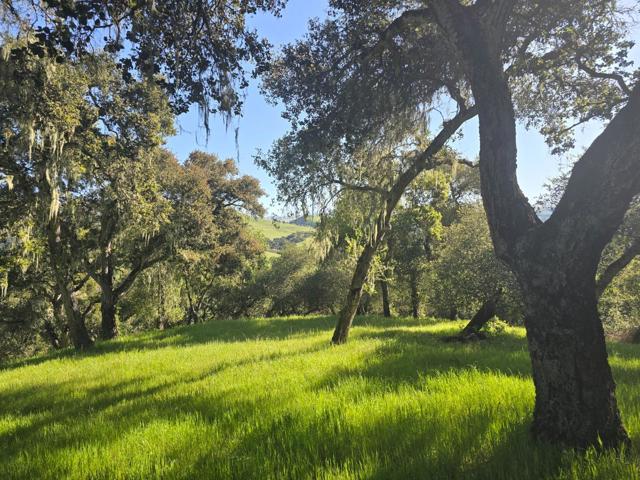 16 SLEEPY HOLLOW DRIVE, Carmel Valley CA: https://media.crmls.org/mediaz/1967e78b-dd60-4b0d-b2f5-d9e513877b4a.jpg