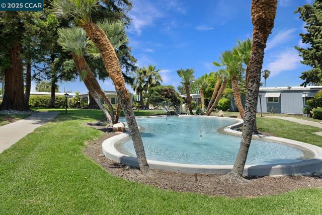 2019 Dalis Drive, Concord CA: https://media.crmls.org/mediaz/1967e8e9-3f65-455c-bb23-a5d462524dee.jpg
