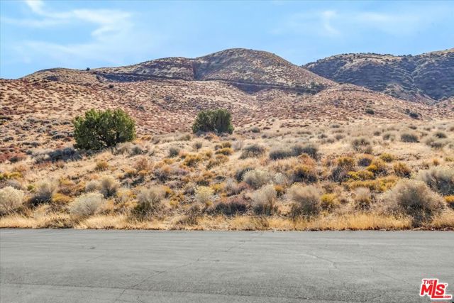 0 Lakeview Drive, Palmdale CA: https://media.crmls.org/mediaz/196e7bd2-2b5c-42e5-9a71-1ac77a48da92.jpg