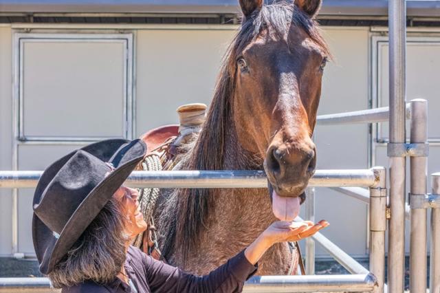 23785 Mckean Road, San Jose CA: https://media.crmls.org/mediaz/197880b4-852f-475e-8768-359c4d2df79d.jpg