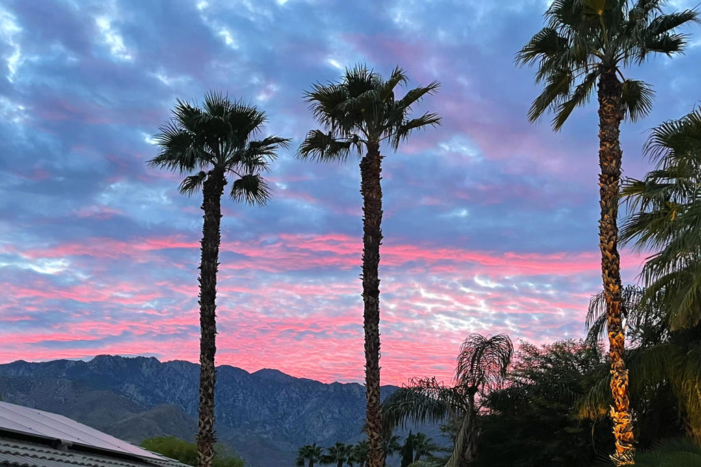 MLS #219135664PS image #2