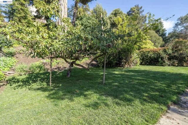 Image 40 of 45 For 800 Trestle Glen Rd