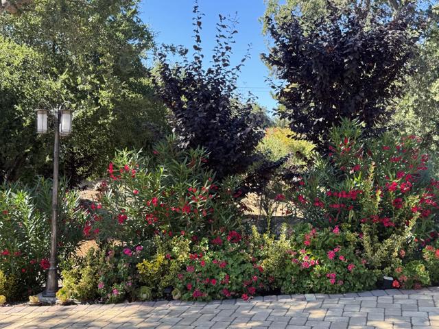 13605 Surrey Lane, Saratoga CA: https://media.crmls.org/mediaz/198a8fb6-ea8e-4f7e-9667-c6204d5cde30.jpg