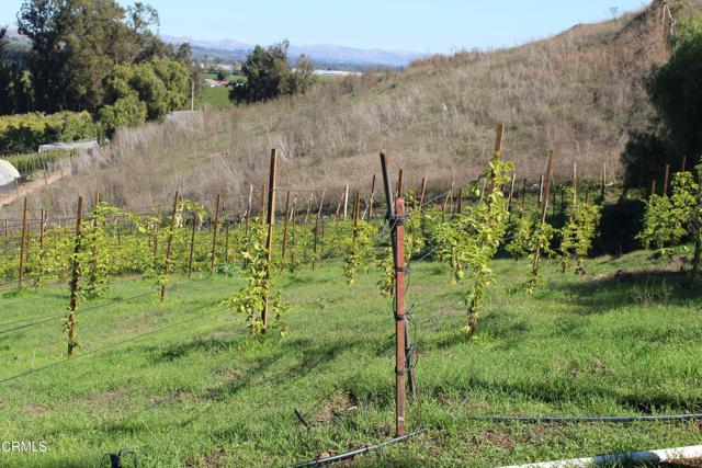 Detail Gallery Image 16 of 32 For 1672 E Los Angeles Ave, Somis,  CA 93066 - – Beds | – Baths