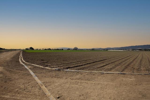 0 Crews Road, Gilroy CA: https://media.crmls.org/mediaz/19913744-eda7-4100-b636-1675176d37fb.jpg