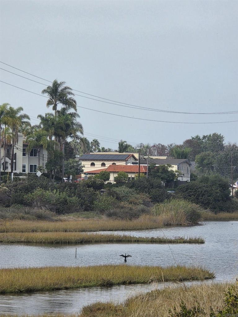 MLS #PTP2505359 image #40