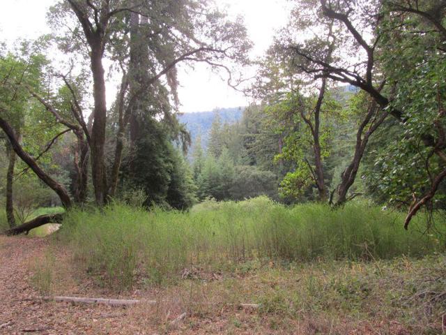 0 E Hilton, Boulder Creek CA: https://media.crmls.org/mediaz/19a6f688-3657-44d5-ba8b-9b88e821f331.jpg