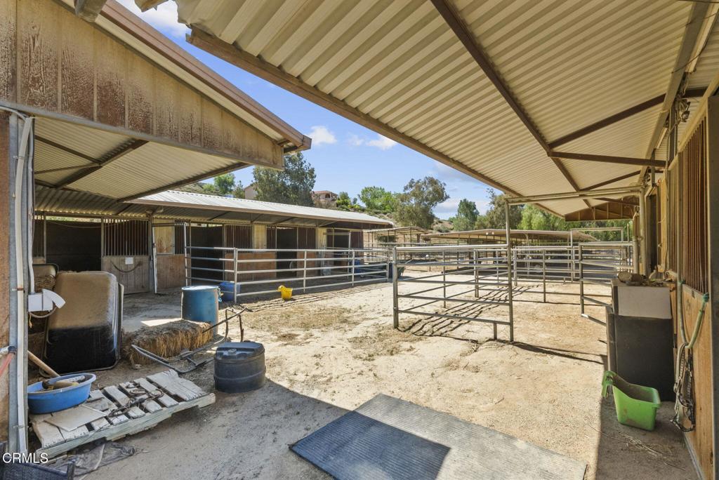 MLS #P1-22584 img 15