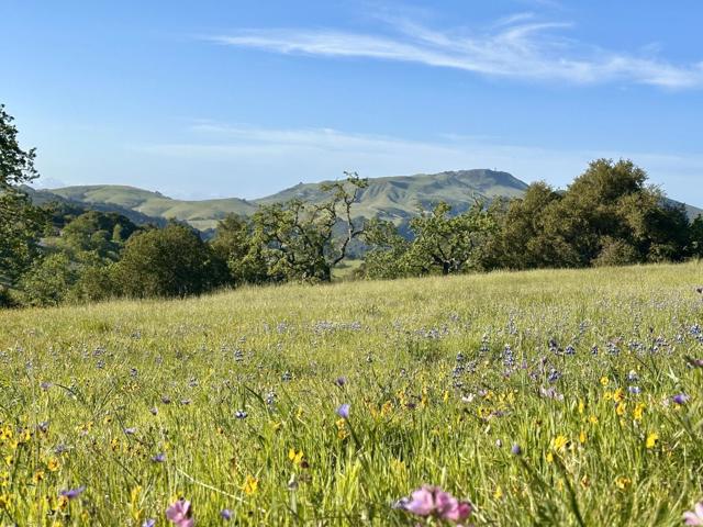 8 Touche, Carmel CA: https://media.crmls.org/mediaz/19b63ca0-a344-4379-b22b-564391b2b379.jpg