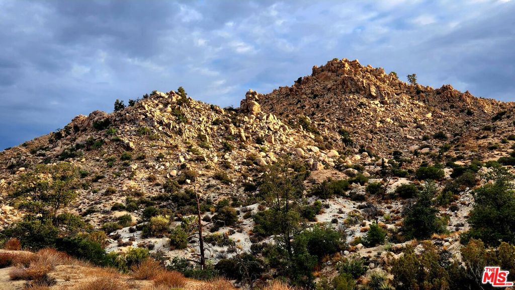 10 W Omega Trail, Yucca Valley, CA 92284