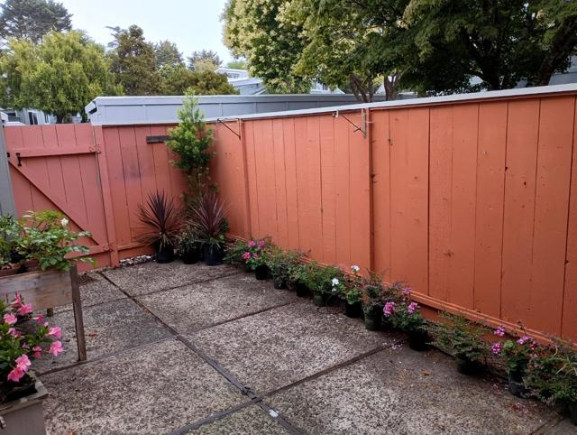 1514 Dolphin Drive, Aptos CA: https://media.crmls.org/mediaz/19ca5ad0-08f2-4932-84ce-bb8b2d3d975d.jpg