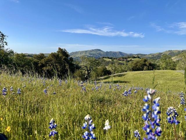 8 Touche, Carmel CA: https://media.crmls.org/mediaz/19ce76ee-95e1-4a2c-bc55-976bb88a60cc.jpg