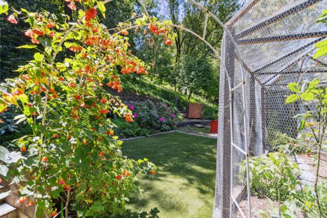 333 Azalea Avenue, Ben Lomond CA: https://media.crmls.org/mediaz/19d43d0a-0a67-4c0f-9323-7025e42aeeb6.jpg