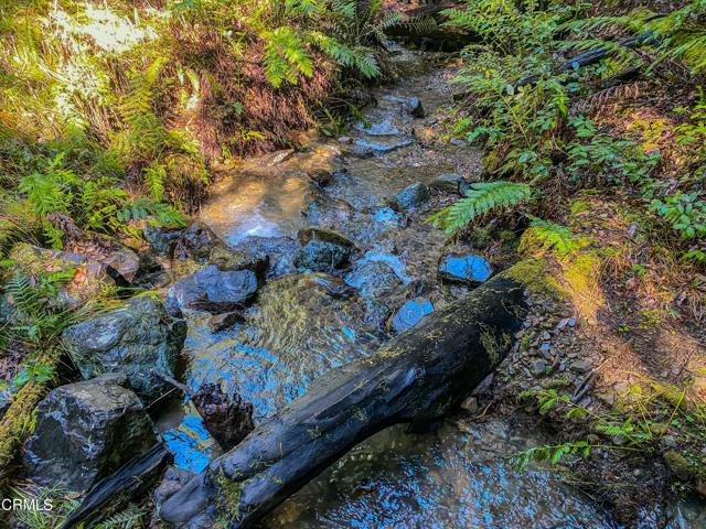 0 Irmulco Road, Willits CA: https://media.crmls.org/mediaz/19d816e1-1f4b-4dbe-a14d-60e820c34bec.jpg