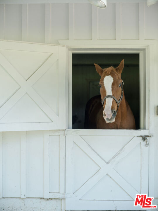2 Eucalyptus Lane, Rolling Hills CA: https://media.crmls.org/mediaz/19da6365-9794-4877-8da6-9a9dcd645326.jpg