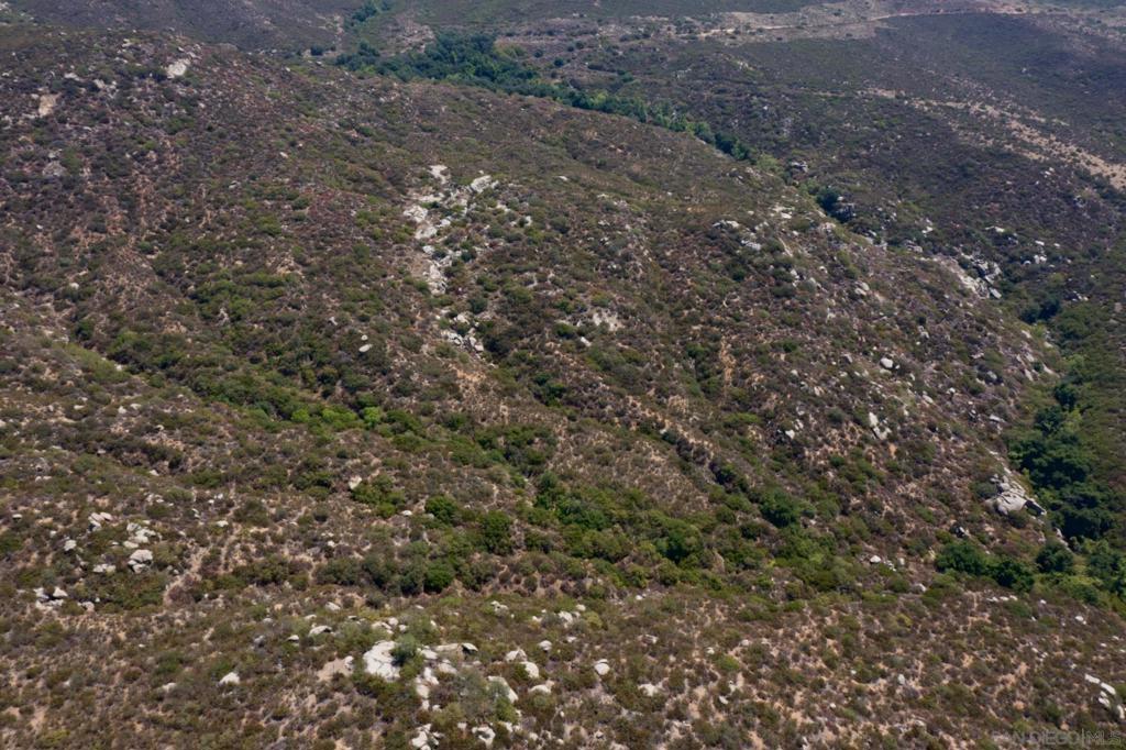 MLS #250035511SD image #7