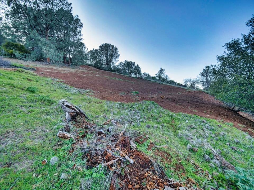 MLS #ML81988008 image #33