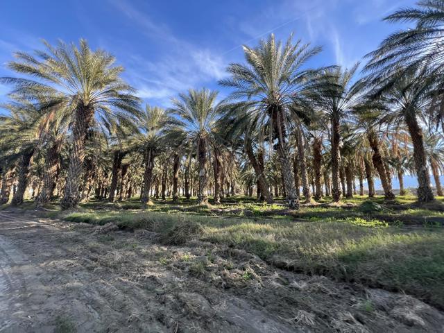 0 Nwc Pierce St & Ave 64, Thermal CA: https://media.crmls.org/mediaz/19fde763-eb24-4bdd-b9f0-1a62d95a8dc4.jpg