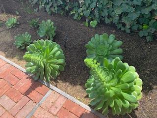 MLS #ML81813048 image #9