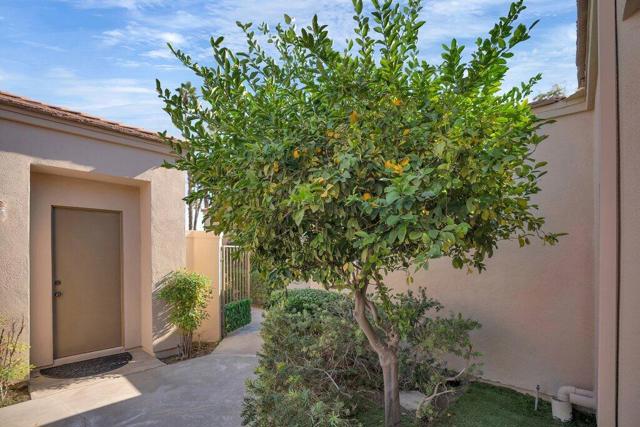 54853 Oakhill, La Quinta CA: https://media.crmls.org/mediaz/1a05c4d6-85a8-4010-97d5-c45a1e4db680.jpg