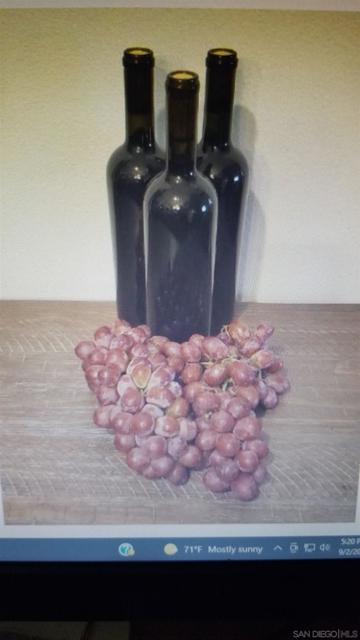 12526 SW BOULDER MT RD, Poway CA: https://media.crmls.org/mediaz/1a0c20b7-61e0-47d9-b032-b50207fbd374.jpg