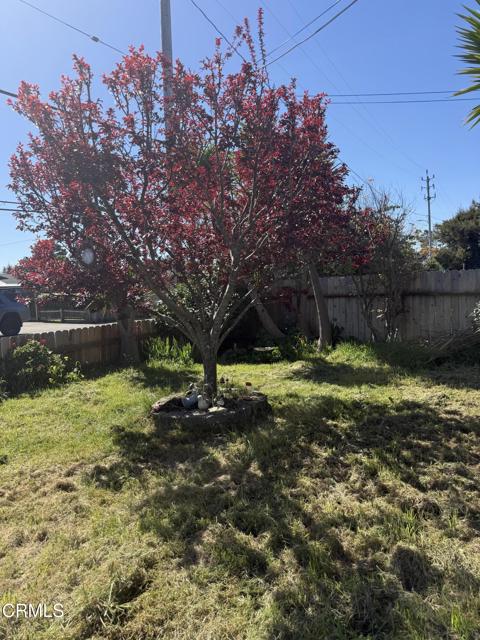 Detail Gallery Image 11 of 25 For 1361 E Oak St, Fort Bragg,  CA 95437 - 2 Beds | 2 Baths