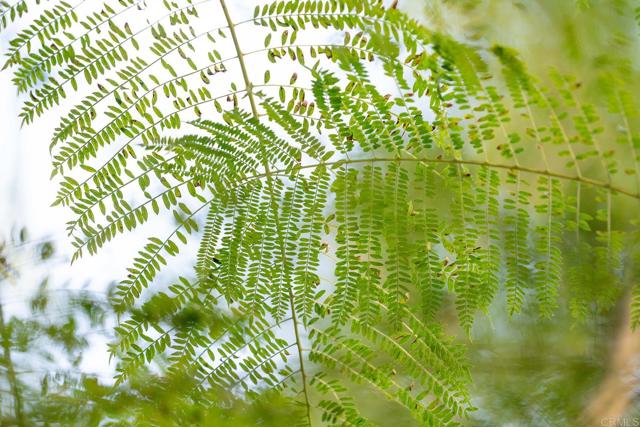 Detail Gallery Image 46 of 48 For 12604 Carmel Country Rd #17,  San Diego,  CA 92130 - 2 Beds | 2/1 Baths