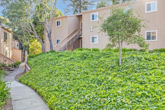 300 Glenwood Circle, Monterey CA: https://media.crmls.org/mediaz/1a159cea-5833-4bc0-832a-0eb3f8253020.jpg