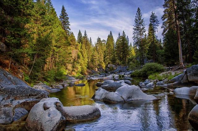 7899 Forest Drive,  CA: https://media.crmls.org/mediaz/1a1612bc-3ca4-40f9-b432-fba01fc960fa.jpg