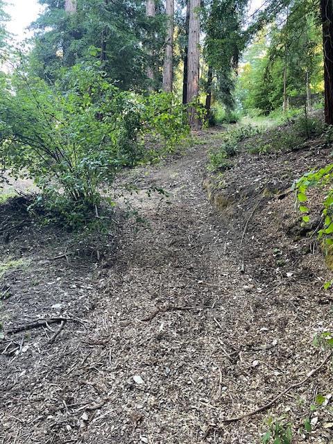 133 Western Avenue, Brookdale CA: https://media.crmls.org/mediaz/1a1ce047-3853-4711-b152-16bf4915189f.jpg