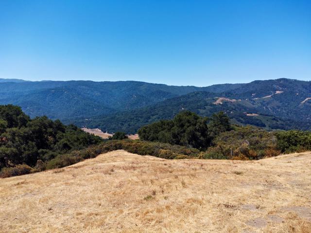 57 Chamisal, Carmel CA: https://media.crmls.org/mediaz/1a3beb8d-9d5a-4f2d-a8c6-e002061d79bf.jpg
