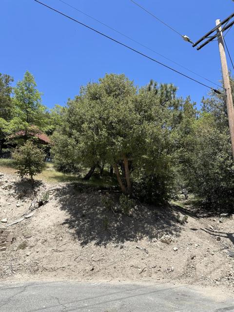 0 Sandalwood Court, Lake Arrowhead CA: https://media.crmls.org/mediaz/1a400470-032e-4bd5-9db1-94310f8e6d92.jpg