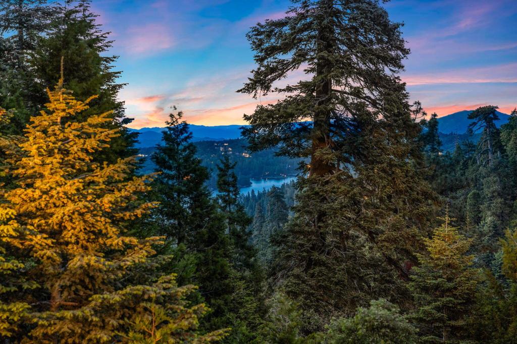 https://media.crmls.org/mediaz/1a417f75-b568-4d1f-918f-cff290c6a25c.jpg?preset=X-Large