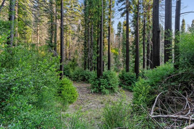21200 Big Basin Way, Boulder Creek CA: https://media.crmls.org/mediaz/1a47ccd3-2a53-4b79-a304-49eda2baef8c.jpg