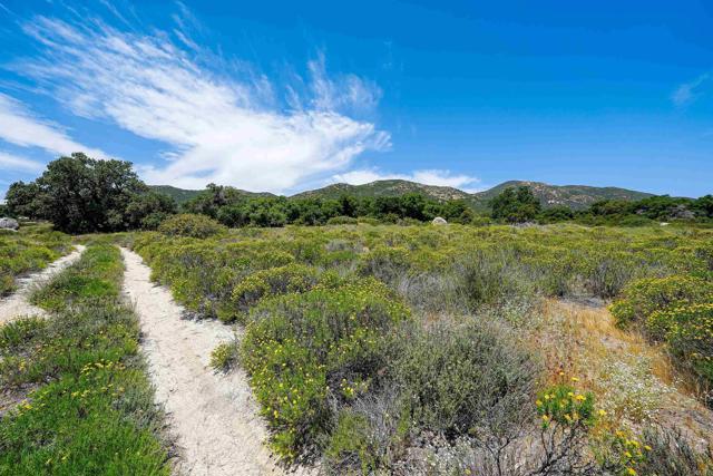 Detail Gallery Image 8 of 32 For 160 Acres Canebrake, Boulevard,  CA 91905 - – Beds | – Baths