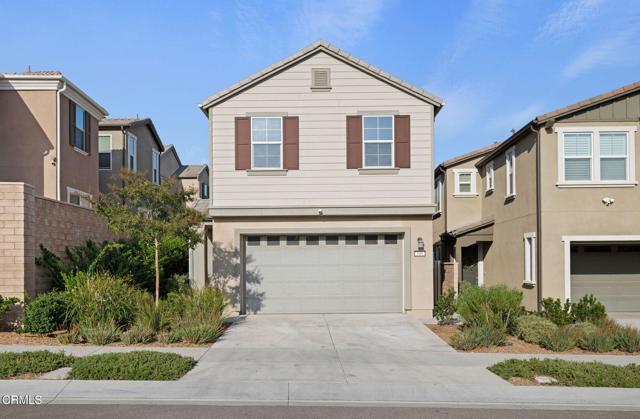 549 Kumquat CT