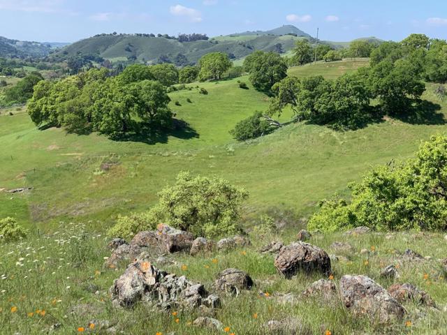 0 Hayes Lane, San Martin CA: https://media.crmls.org/mediaz/1a514e20-e8fd-461f-b87e-2669e07e0e6e.jpg