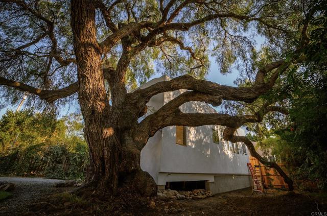 Detail Gallery Image 11 of 35 For 362 Palm Ave, Chula Vista,  CA 91911 - 5 Beds | 3 Baths