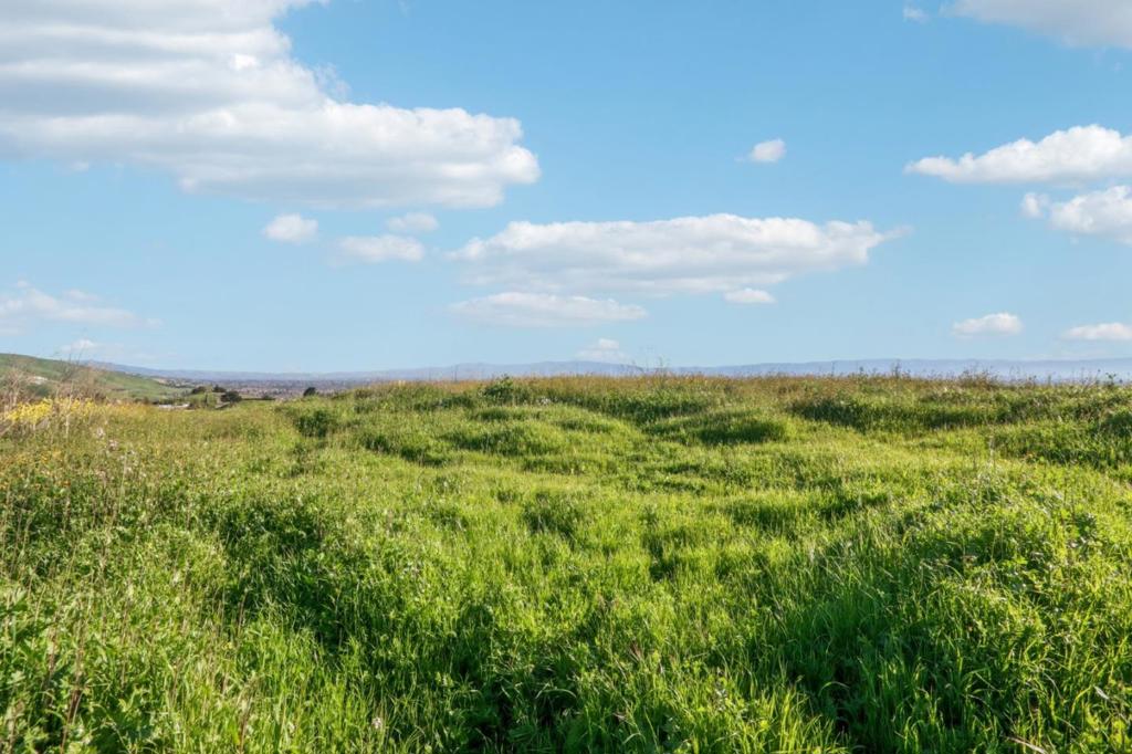 MLS #ML81979996 image #12