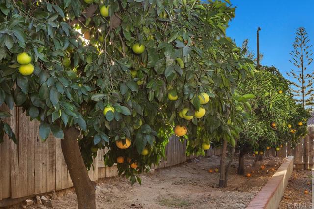 1446 SAN CARLOS PLACE, Escondido CA: https://media.crmls.org/mediaz/1a6ad152-fa8f-4295-9223-5b8c1575e022.jpg