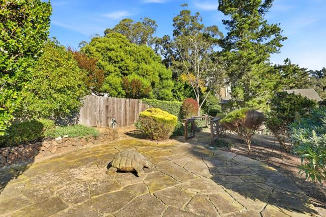 455 Avenue Portola, El Granada CA: https://media.crmls.org/mediaz/1a6b31da-64ee-4134-b4f0-87b319fd8883.jpg