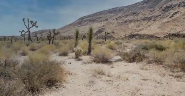 55455 Pipes Canyon, Pioneertown CA: https://media.crmls.org/mediaz/1a6be268-bf82-4e6f-9ede-eecbe13fc279.jpg