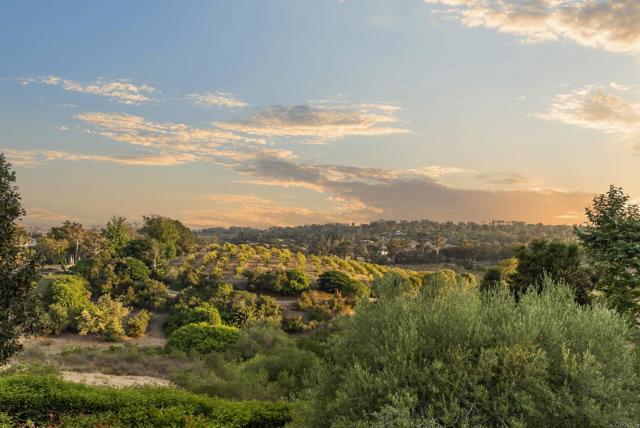 7057 Rancho Cielo, Rancho Santa Fe CA: https://media.crmls.org/mediaz/1a710a2f-1474-4ccb-84d6-e3df100ec66b.jpg