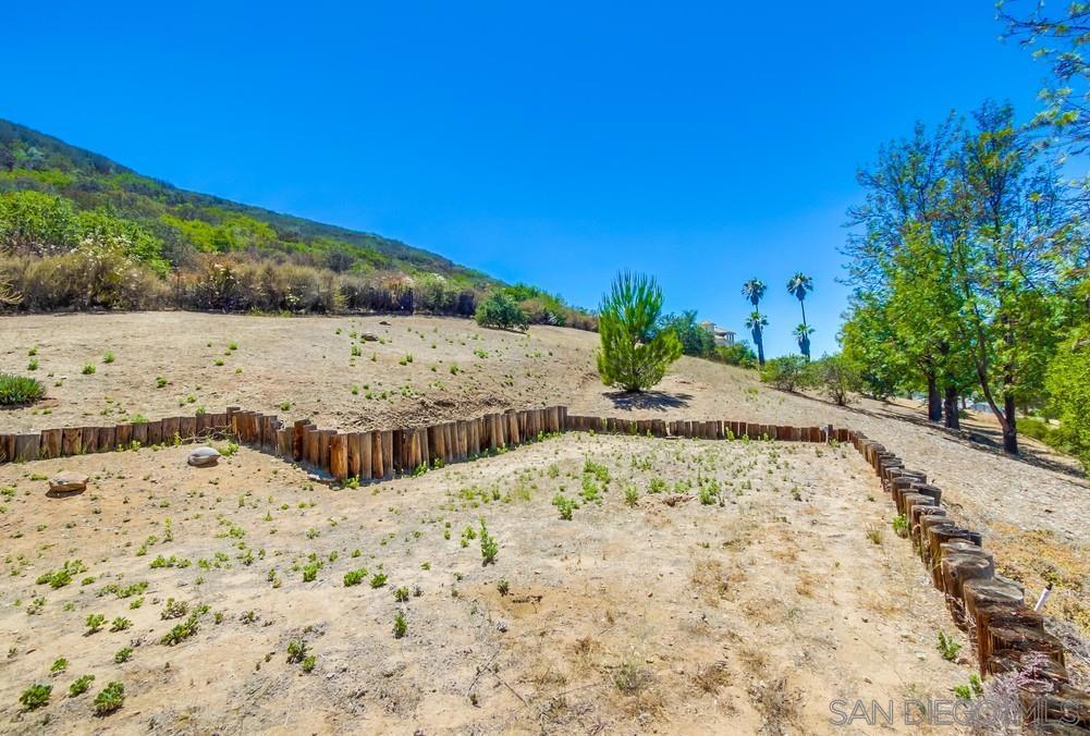 MLS #250035021SD image #45